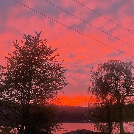 Hyttelaven Pa Furuholmen Sarpsborg Exteriér fotografie