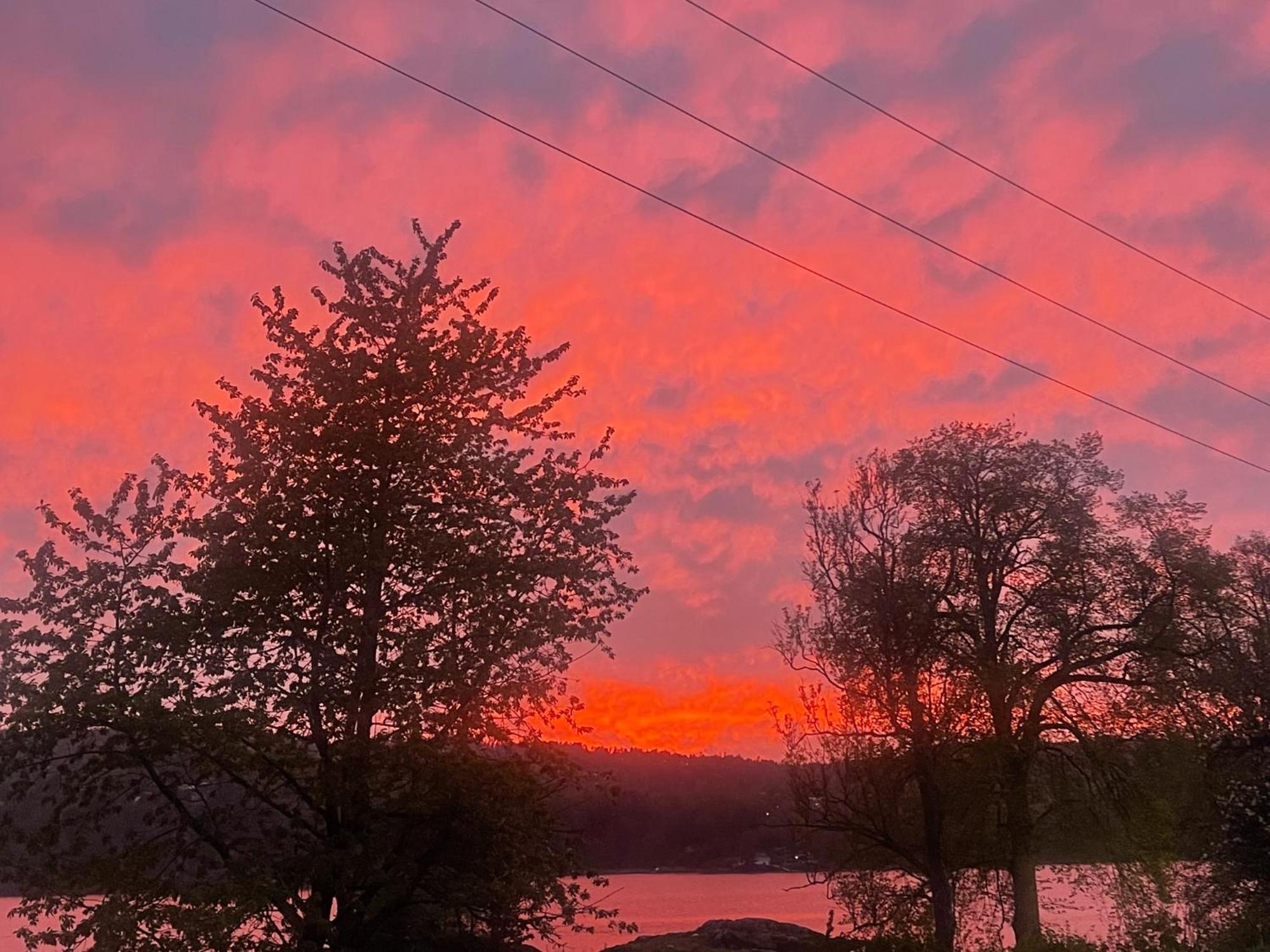 Hyttelaven Pa Furuholmen Sarpsborg Exteriér fotografie